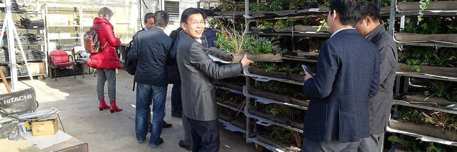 Welcome to Chinese delegation from Wuhan Welcome to Chinese delegation from Wuhan