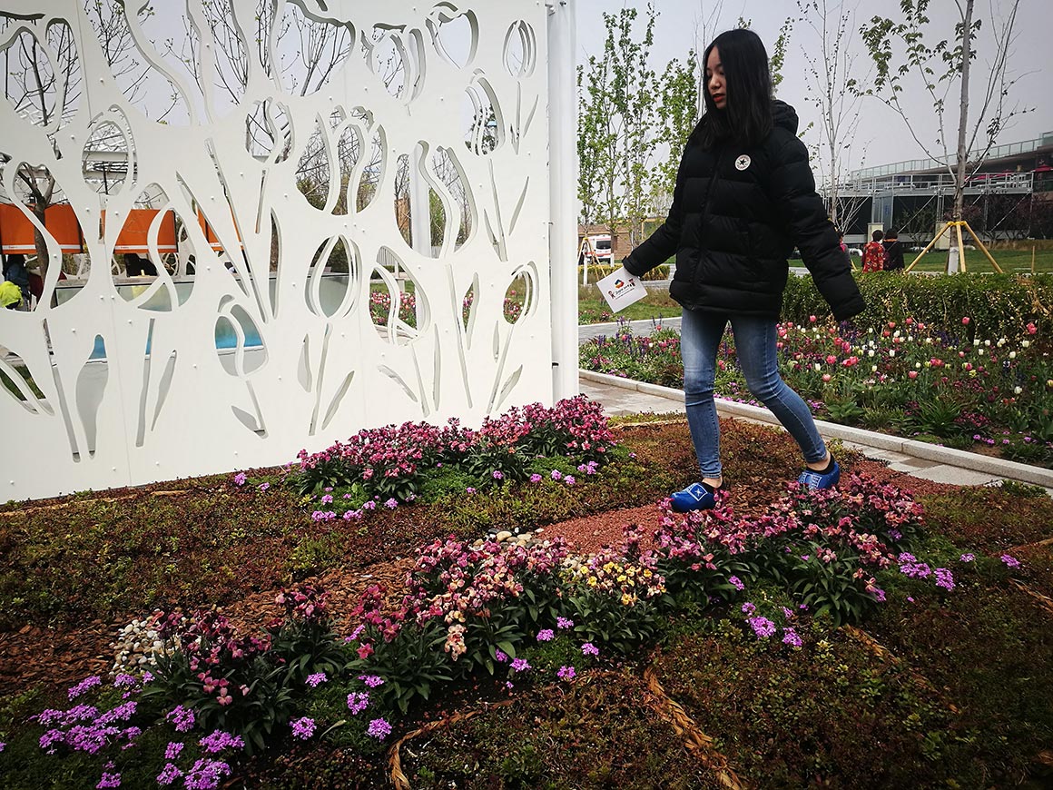 Expo_Beijing_2019_08