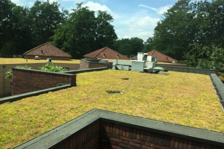 New green roof for the Mutsaers Foundation in Venlo