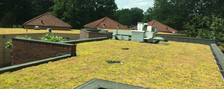 New green roof for the Mutsaers Foundation in Venlo