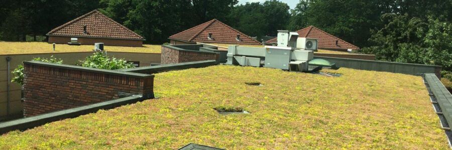 New green roof for the Mutsaers Foundation in Venlo