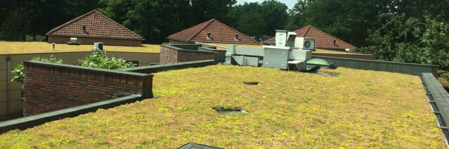 New green roof for the Mutsaers Foundation in Venlo New green roof for the Mutsaers Foundation in Venlo